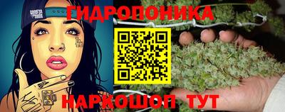 мдпв Котовск
